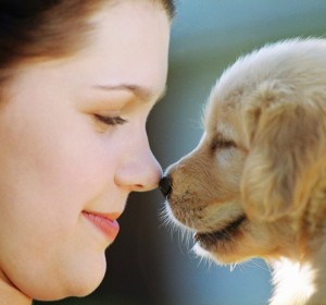 woman puppy touching noses